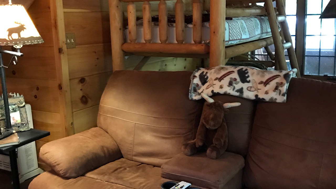 Photo of Livingroom in Meadows Of Dan