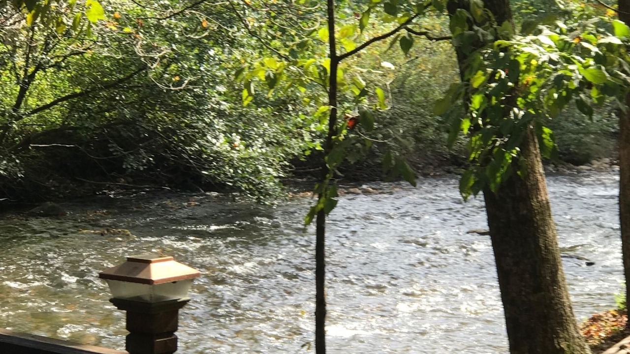 Photo of Outdoor in Meadows Of Dan
