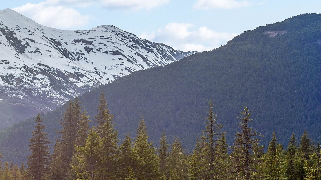 Photo of Others in Alyeska