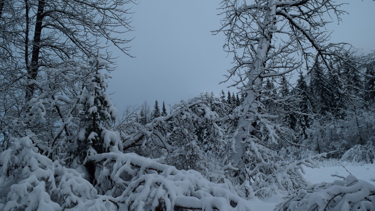 Photo of Outdoor in Alyeska