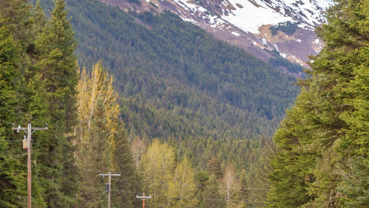 Photo of Others in Alyeska