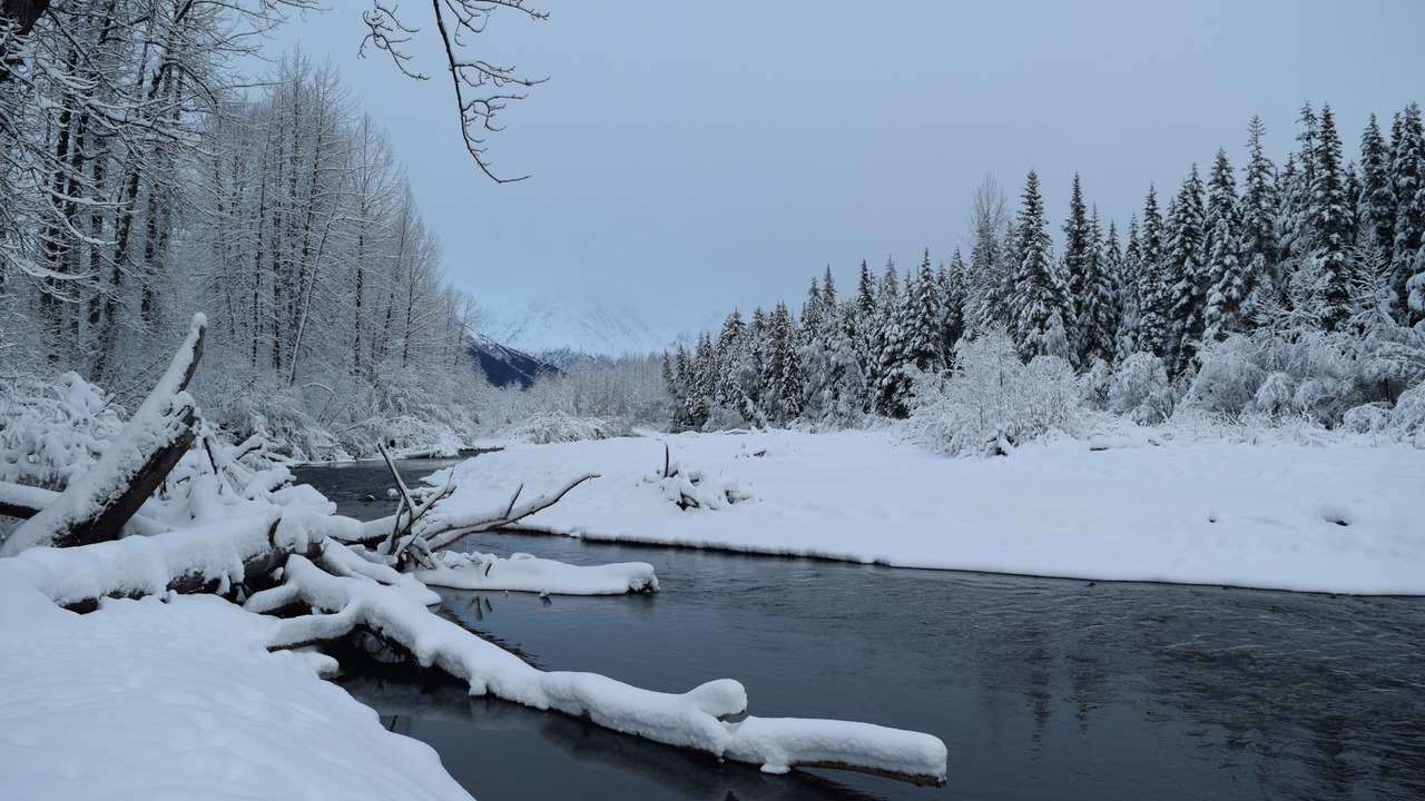Photo of Others in Alyeska