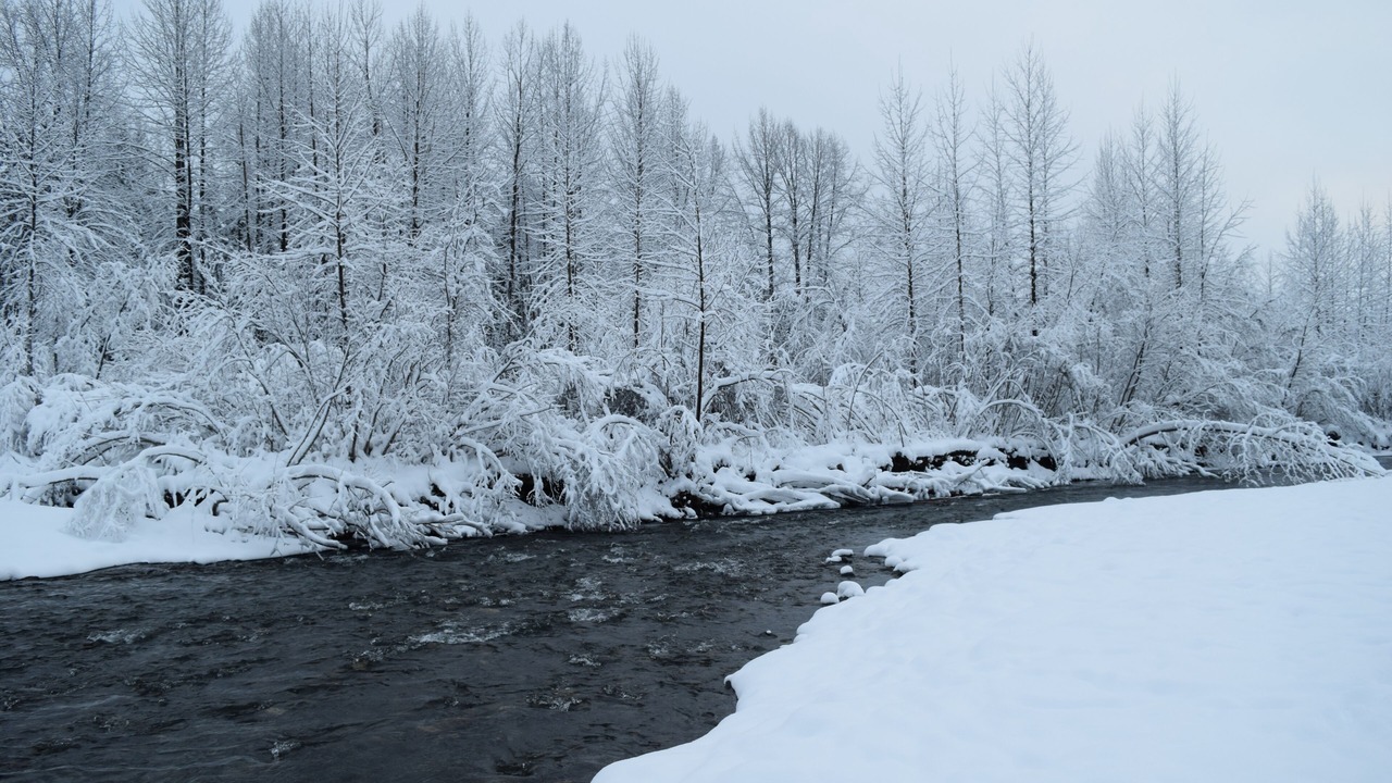 Photo of Others in Alyeska