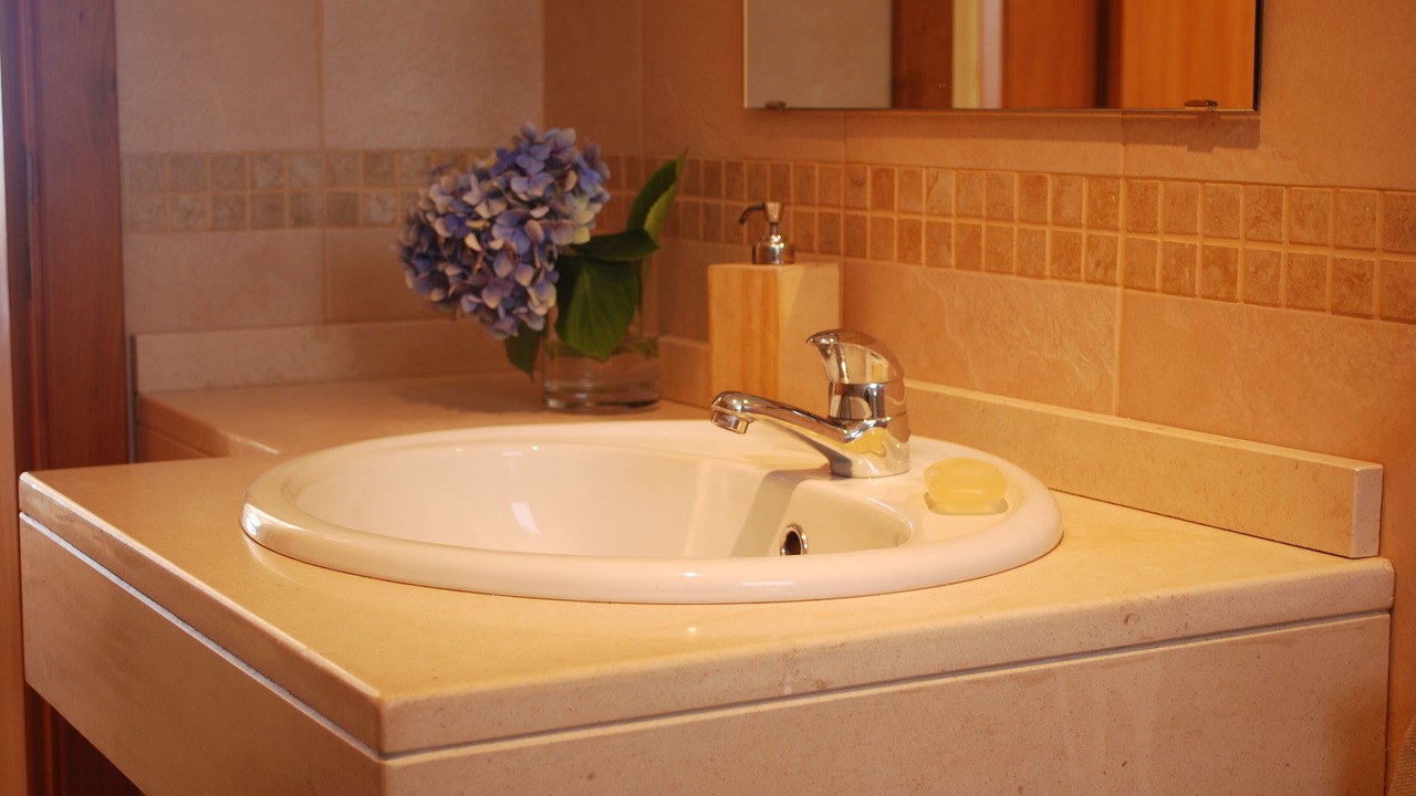 Photo of Bathroom in Estreito da Calheta