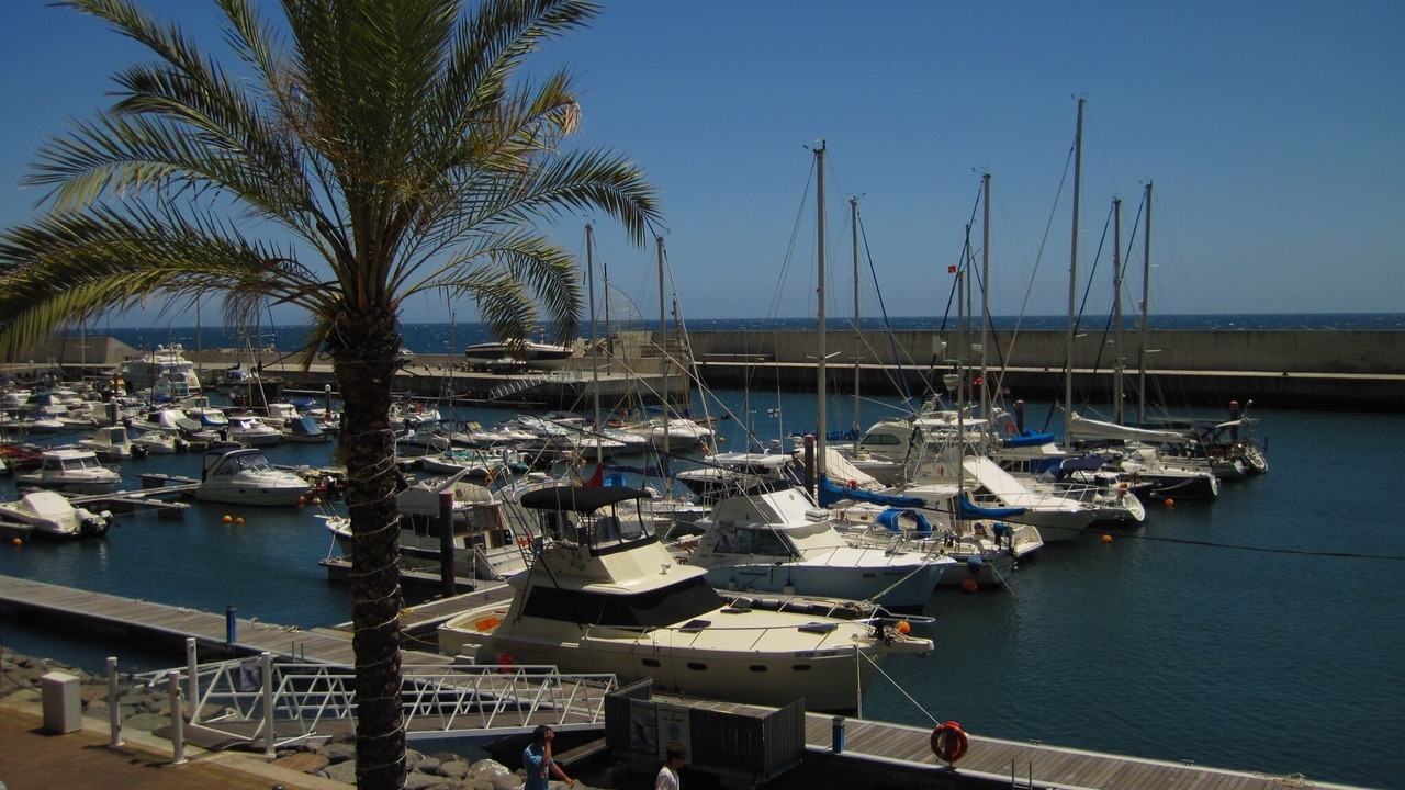 Photo of Others in Estreito da Calheta