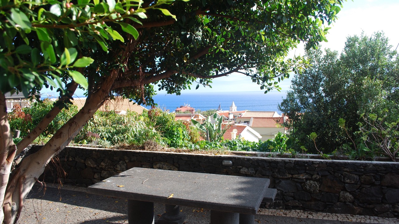 Photo of Outdoor in Estreito da Calheta