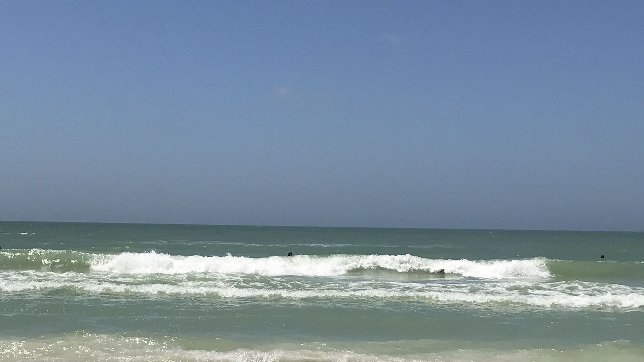 Photo of Others in Marco Island