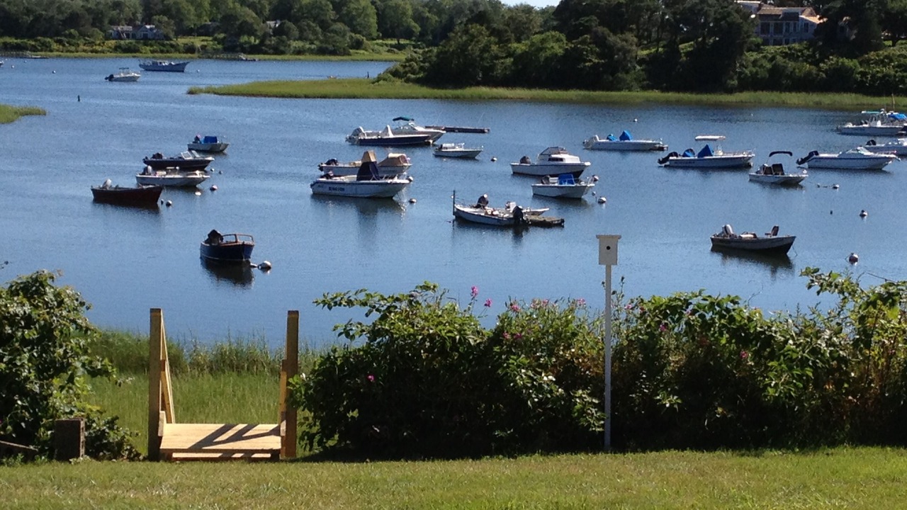 Photo of Others in Chatham