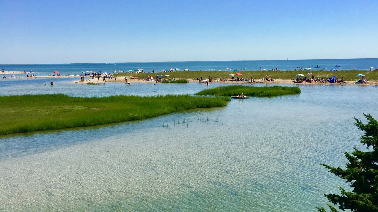 Photo of Others in West Chatham
