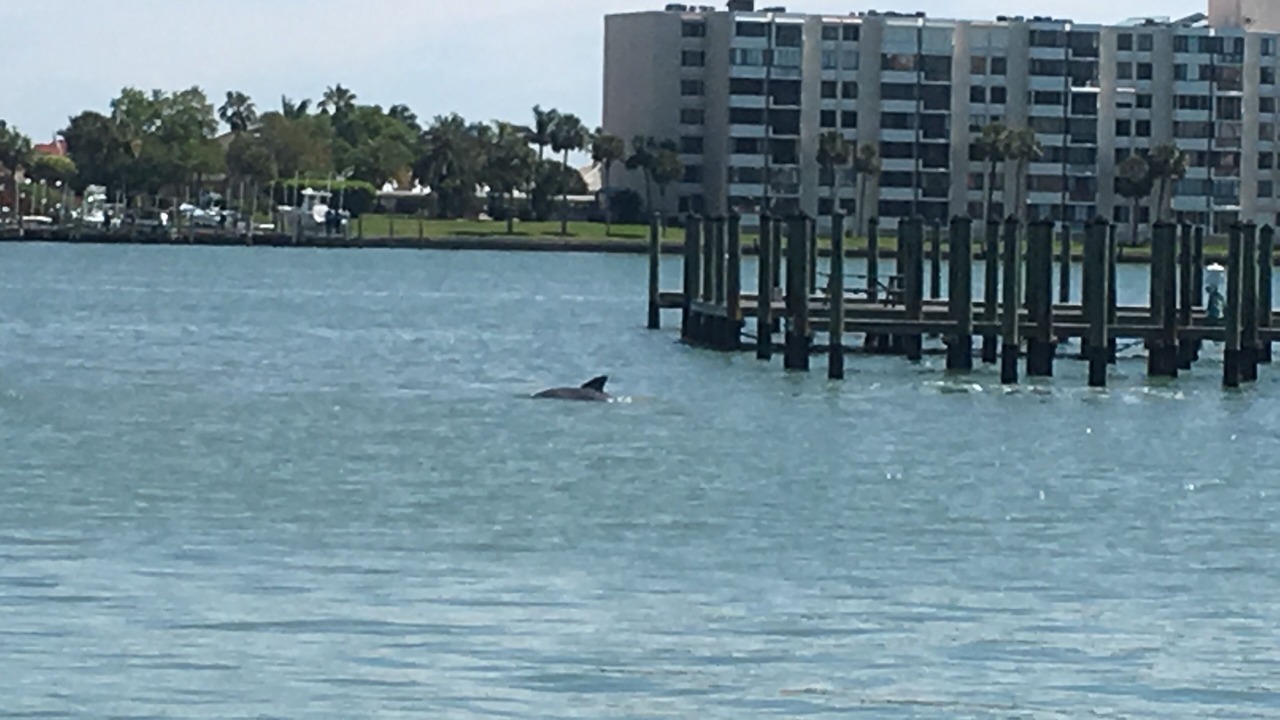 Photo of Others in Bay Esplanade