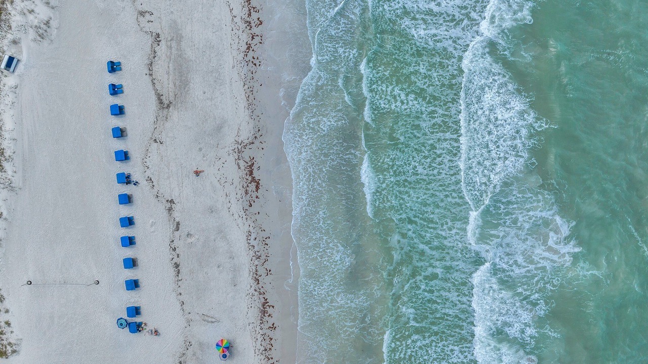 Photo of Others in Indian Shores