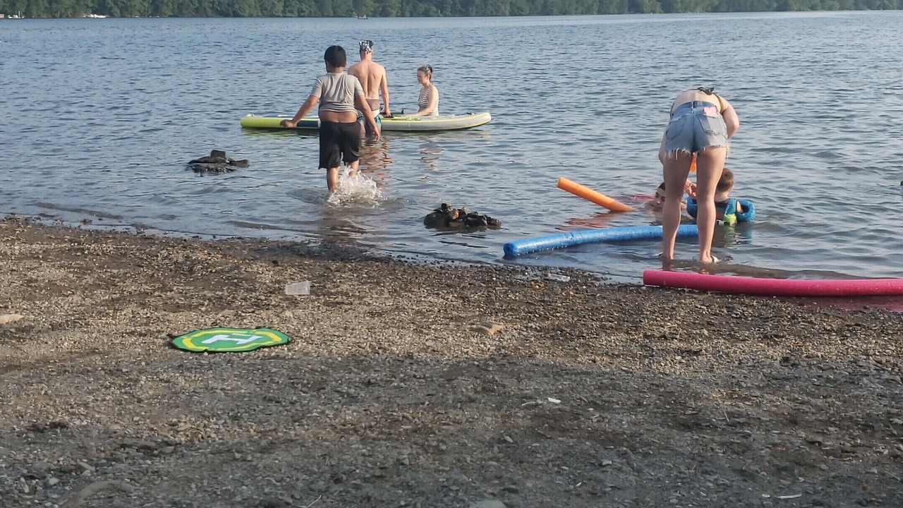 Photo of Others in Walton Park