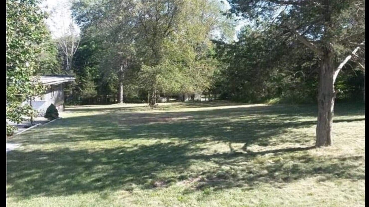 Photo of Others in Walton Park
