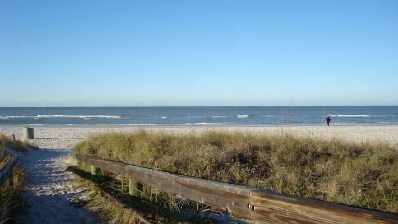 Photo of Others in Madeira Beach