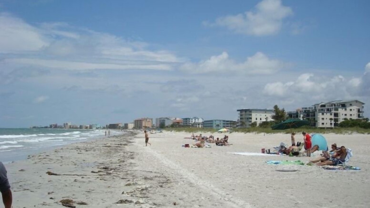 Photo of Others in Madeira Beach