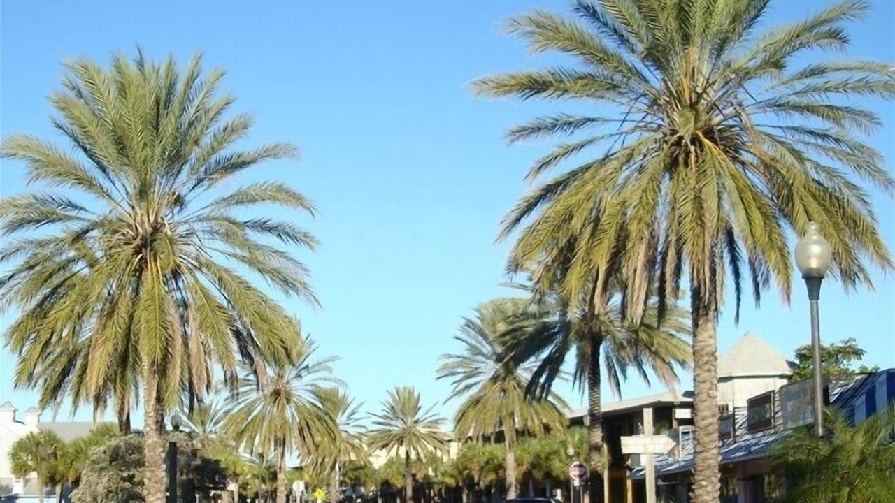 Photo of Others in Madeira Beach