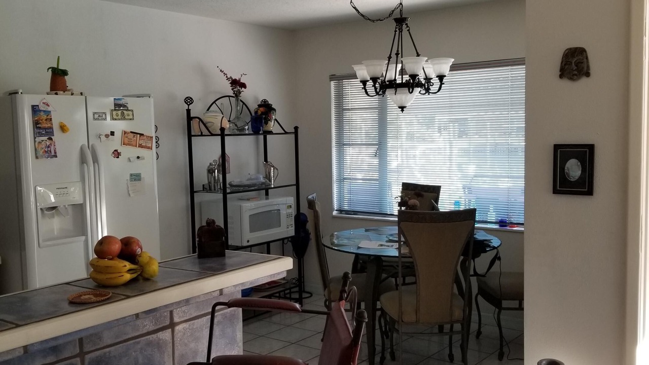 Photo of Outdoor in Madeira Beach