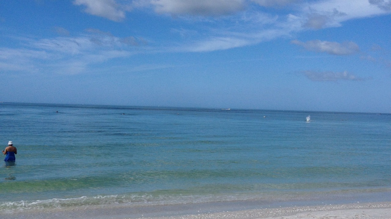 Photo of Others in Marco Island