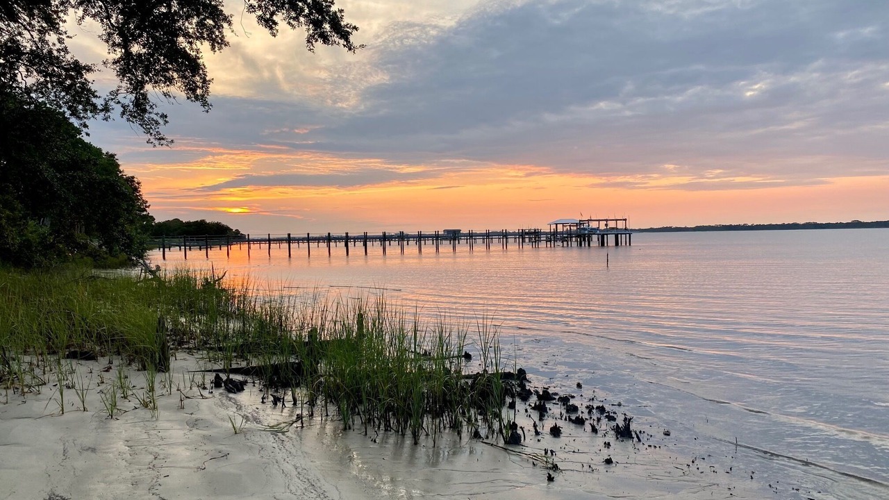 Photo of Others in Alligator Point