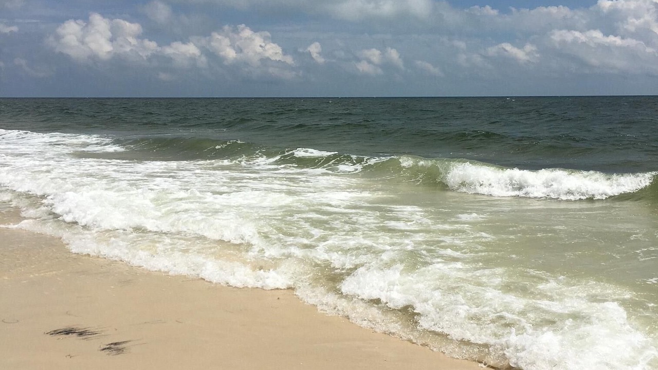 Photo of Others in Alligator Point