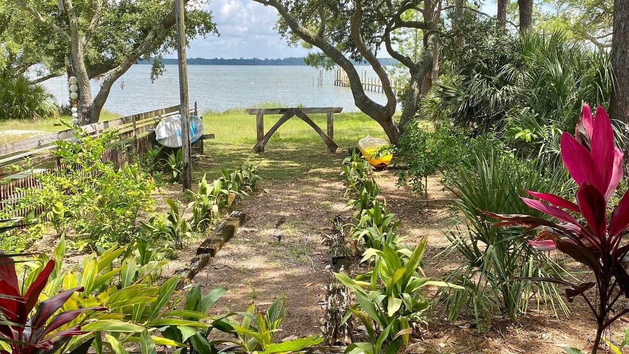 Photo of Others in Alligator Point