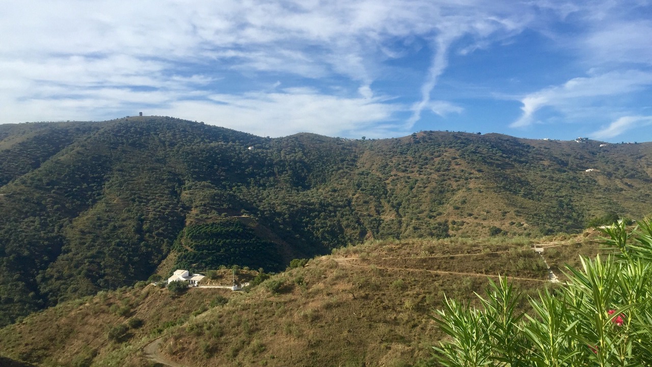 Photo of Outdoor in Vinuela
