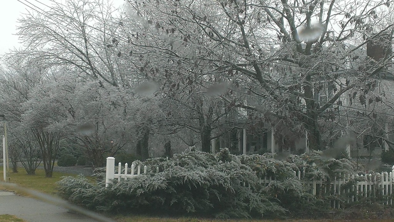 Photo of Others in Concord