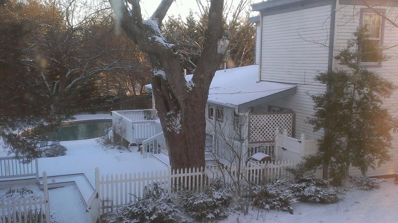 Photo of Outdoor in Concord