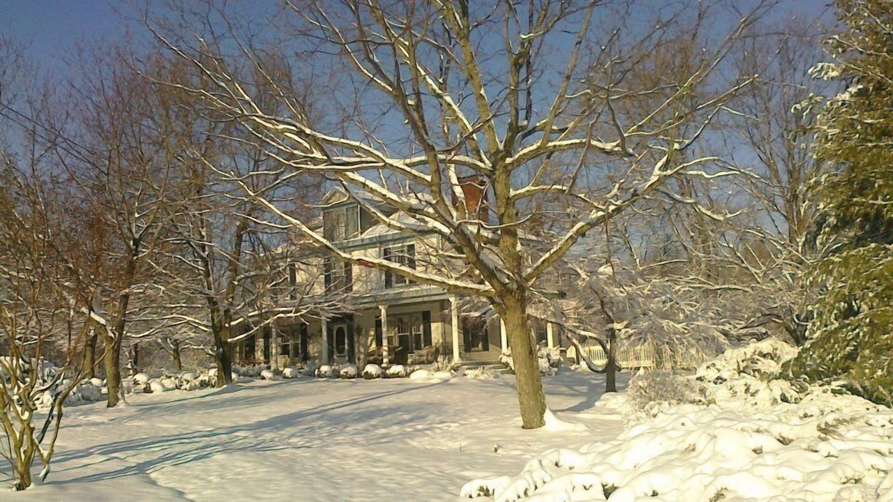 Photo of Others in Concord
