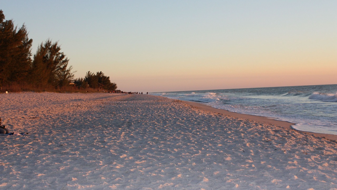 Photo of Others in Sanibel