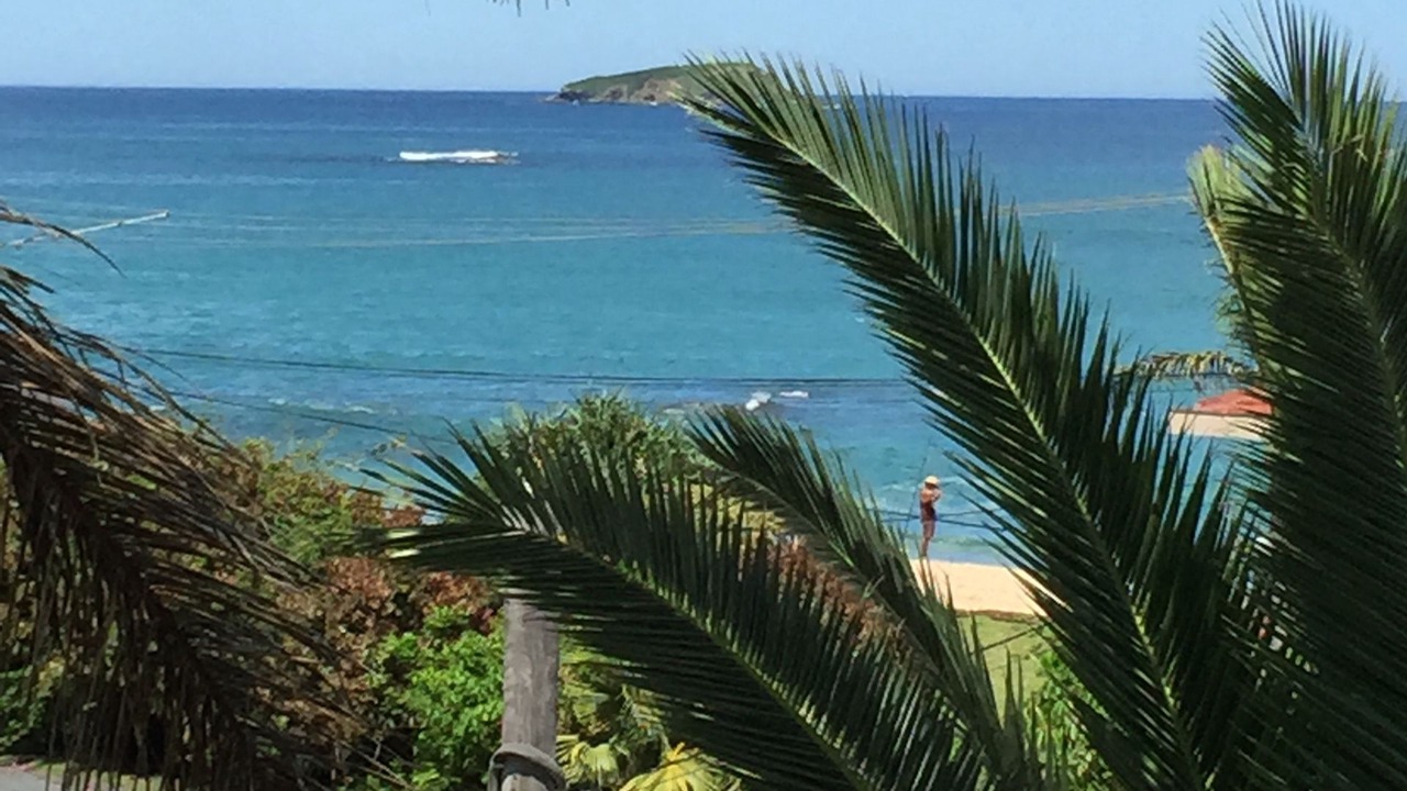Photo of Others in Sapphire Beach