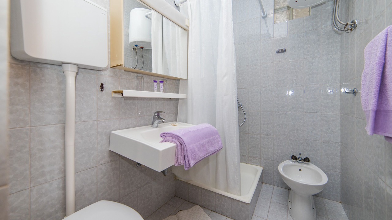 Photo of Bathroom in Blato
