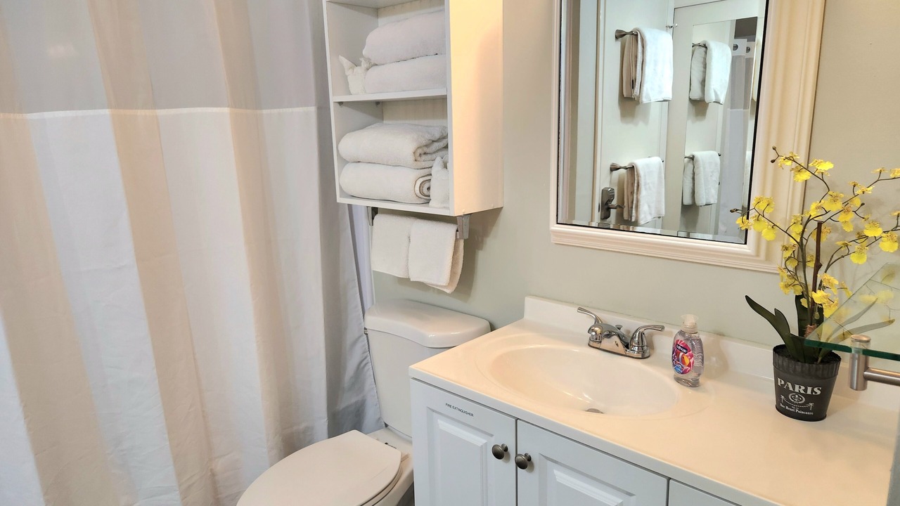 Photo of Bathroom in South Island