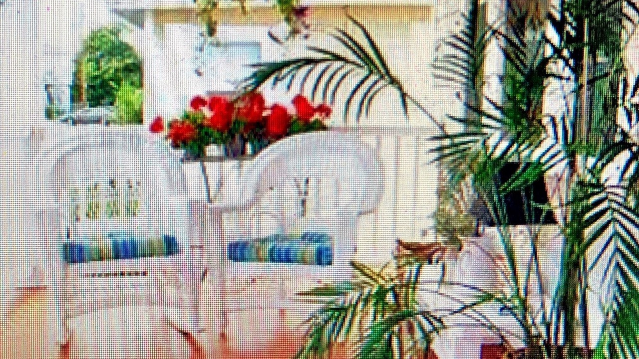 Photo of Outdoor in Waveland