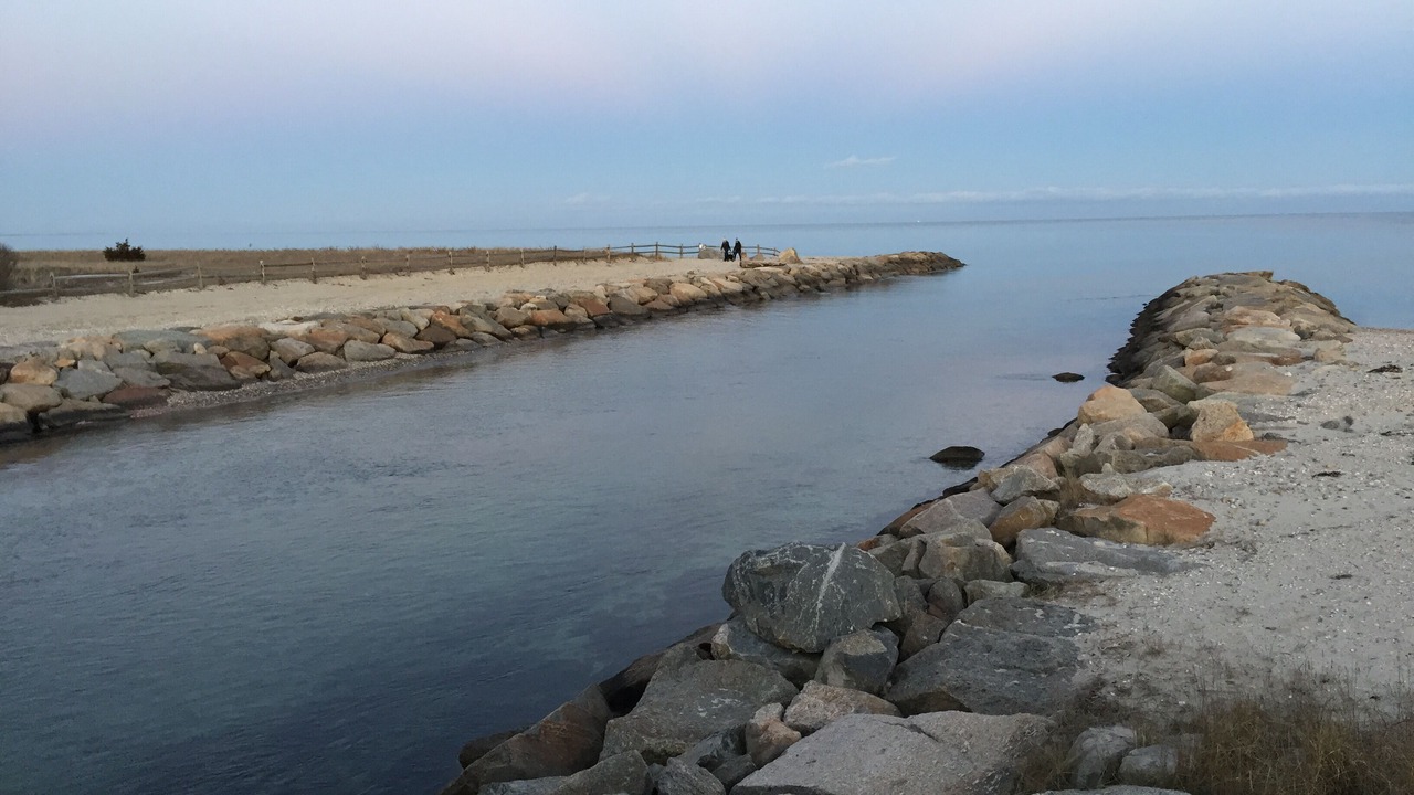 Photo of Others in Lagoon Heights