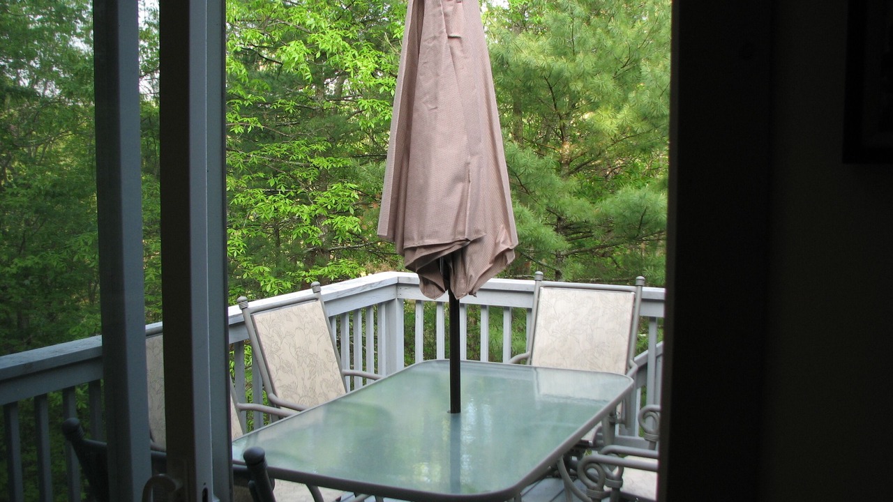 Photo of Outdoor in Basye