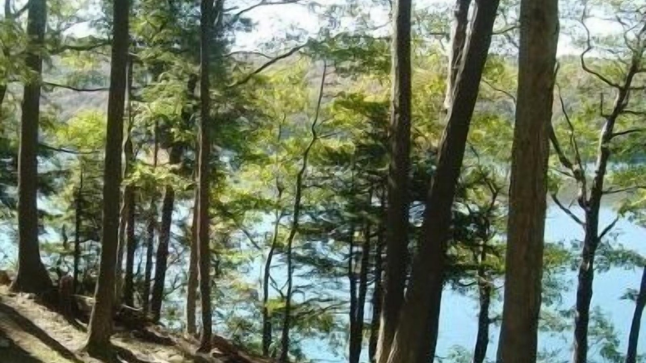 Photo of Others in Skaneateles