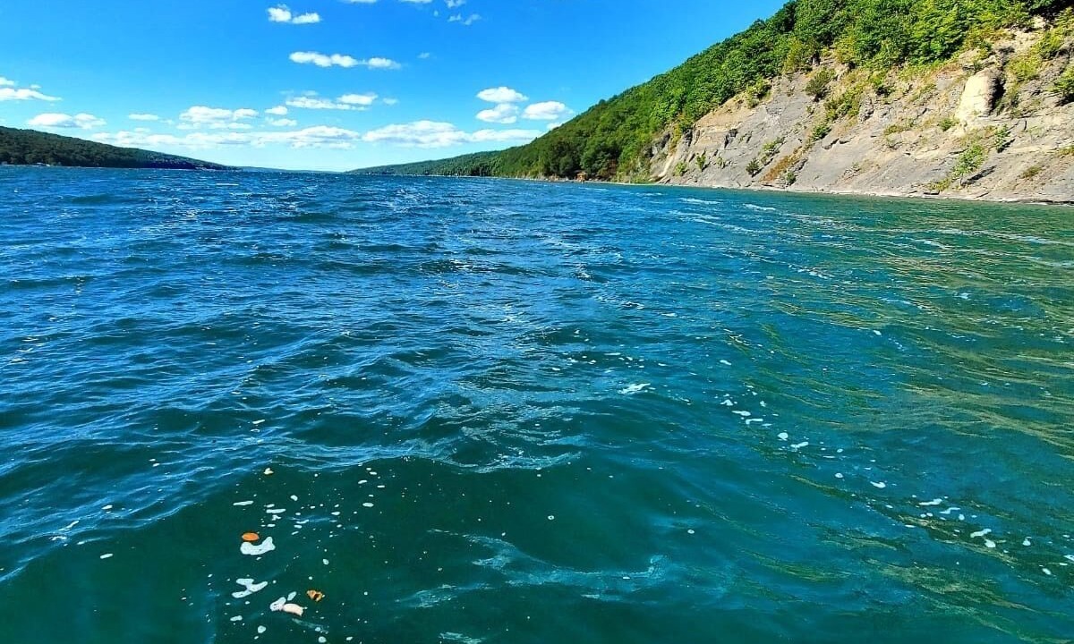 Photo of Others in Skaneateles