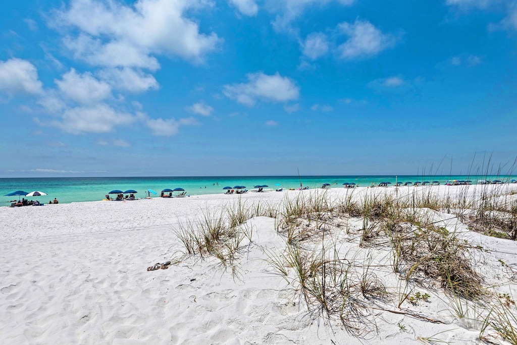 Photo of Outdoor in Miramar Beach