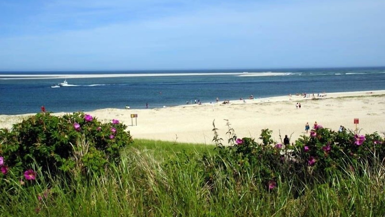 Photo of Others in West Chatham