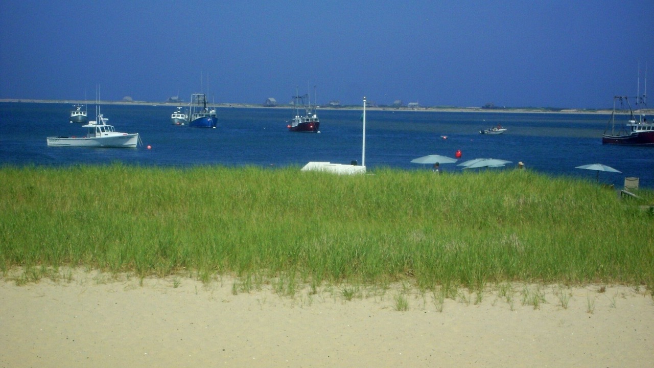Photo of Others in West Chatham