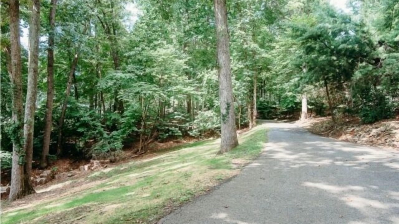 Photo of Outdoor in High Point