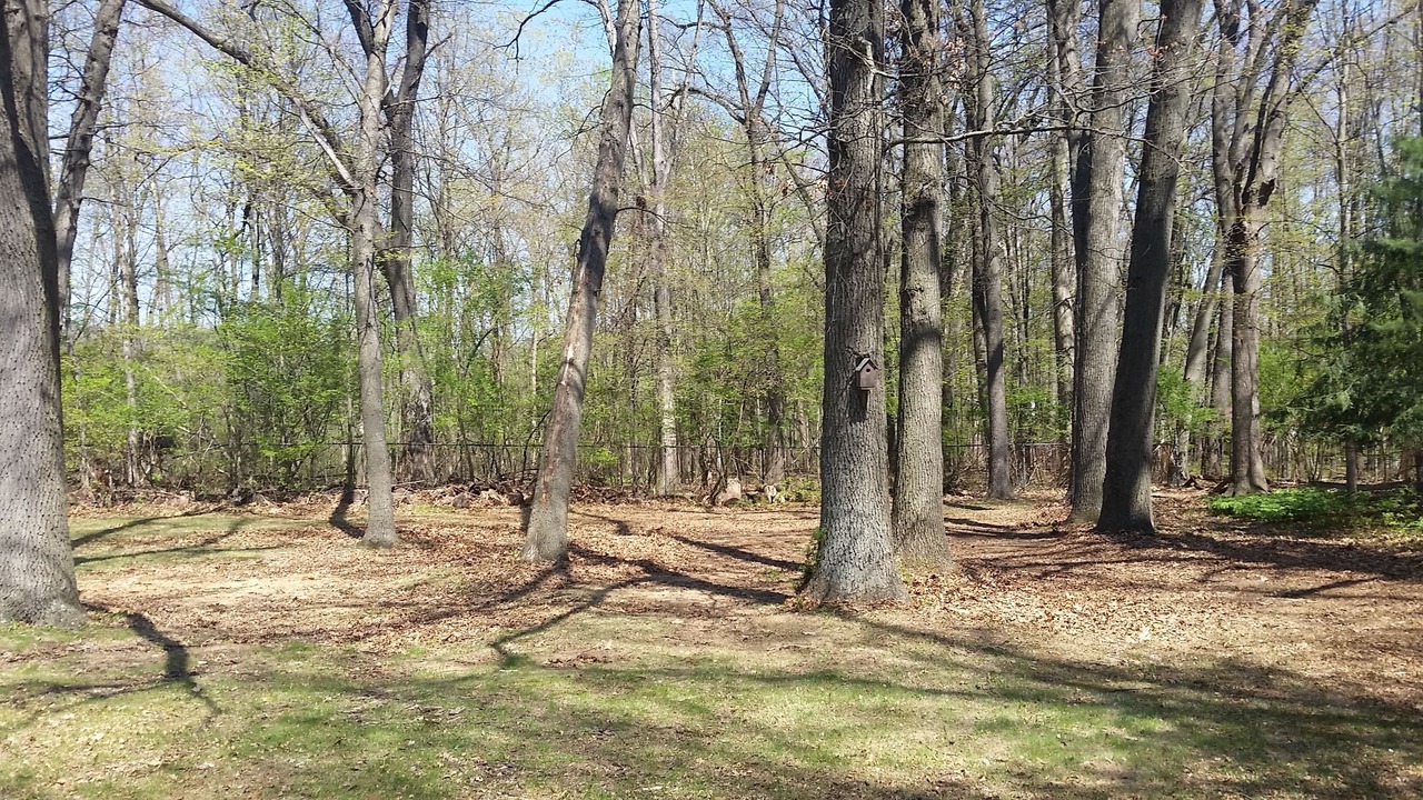 Photo of Outdoor in Southfield