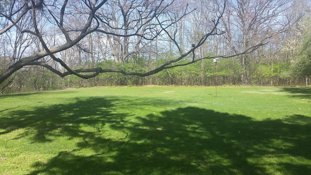 Photo of Outdoor in Southfield