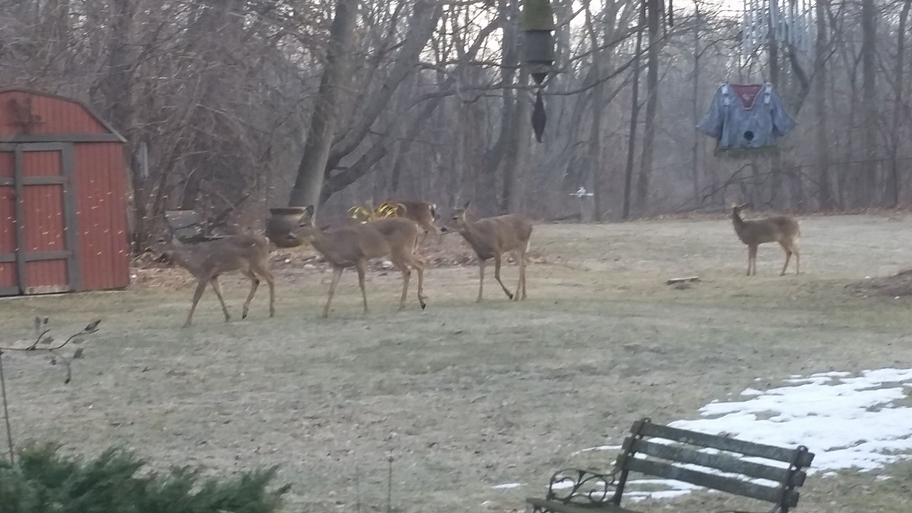 Photo of Outdoor in Southfield
