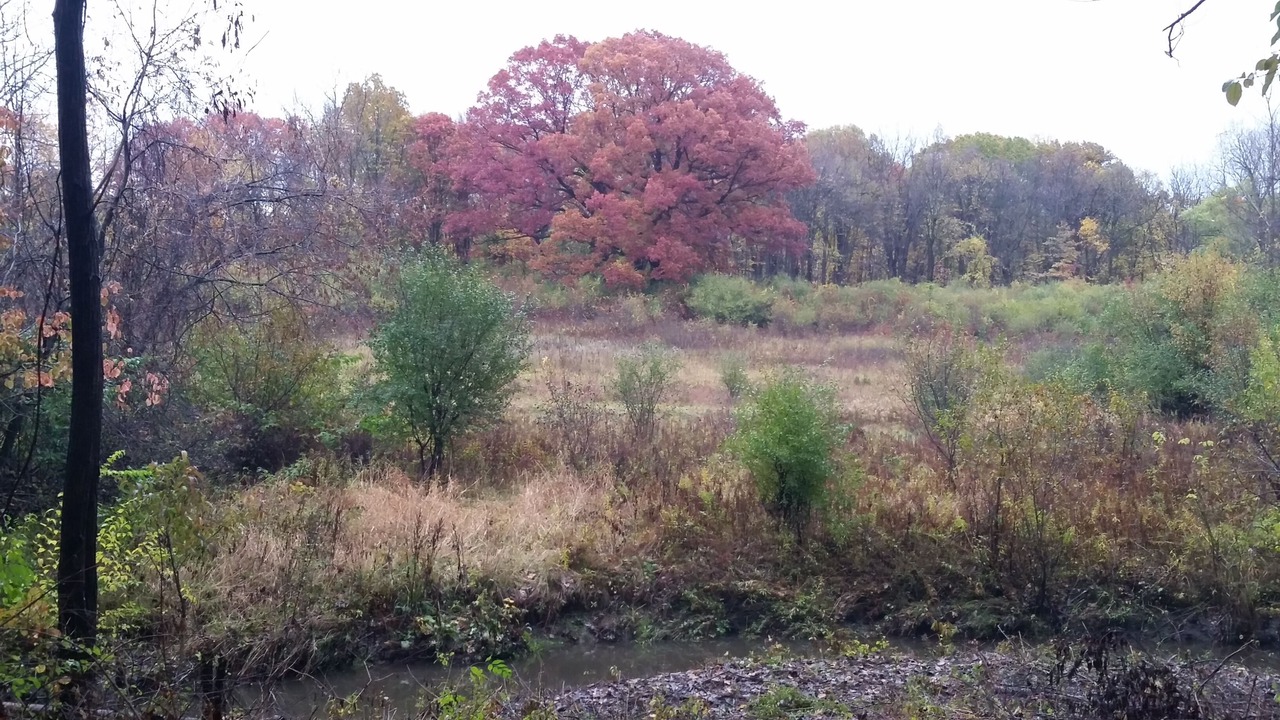 Photo of Outdoor in Southfield