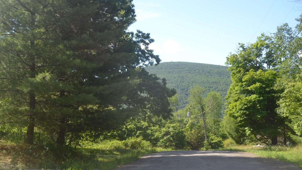 Photo of Others in West Shokan