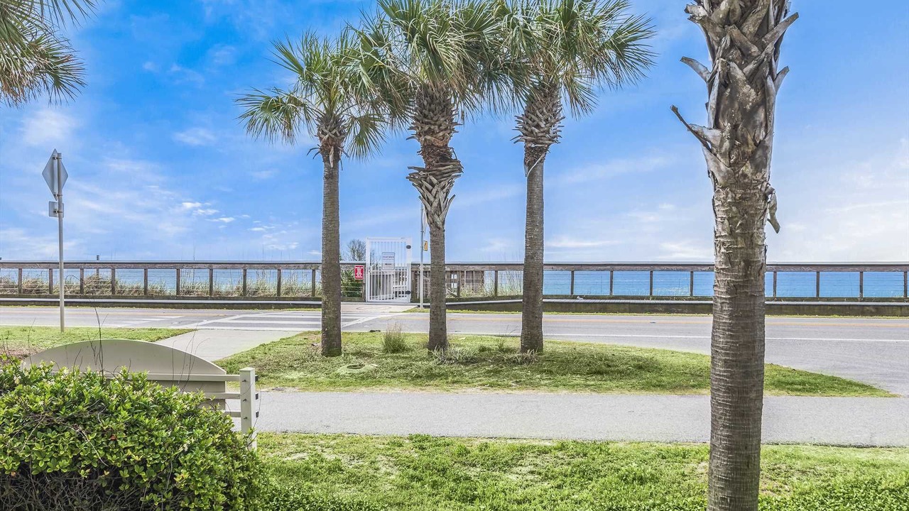 Photo of Outdoor in Avalon Beach Estates