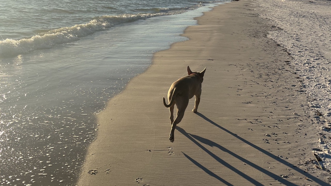 Photo of Others in Mexico Beach