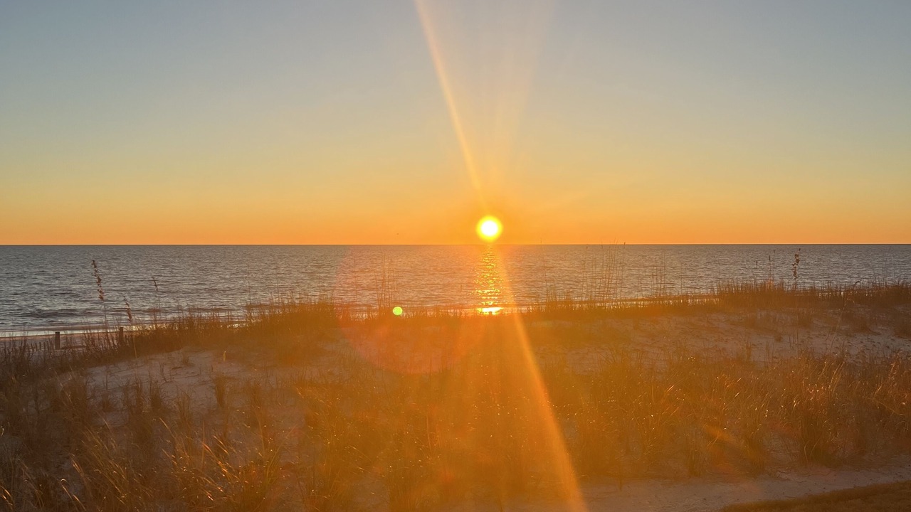Photo of Others in Mexico Beach